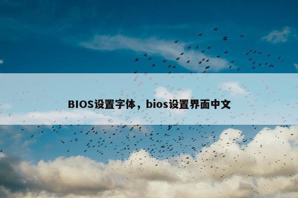 BIOS设置字体，bios设置界面中文