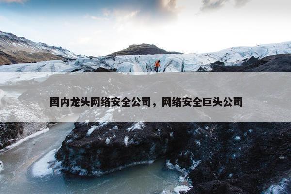 国内龙头网络安全公司，网络安全巨头公司