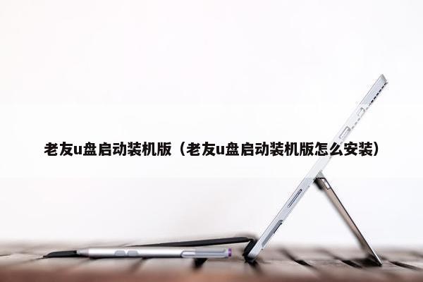老友u盘启动装机版（老友u盘启动装机版怎么安装）