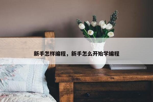 新手怎样编程，新手怎么开始学编程