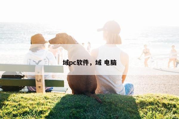 域pc软件，域 电脑