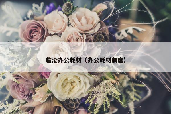 临沧办公耗材（办公耗材制度）