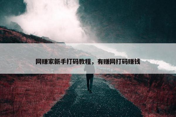 网赚家新手打码教程，有赚网打码赚钱