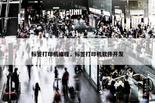 标签打印机编程，标签打印机软件开发