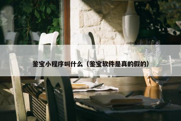 鉴宝小程序叫什么（鉴宝软件是真的假的）