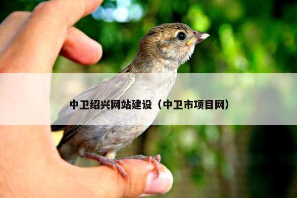 中卫绍兴网站建设（中卫市项目网）