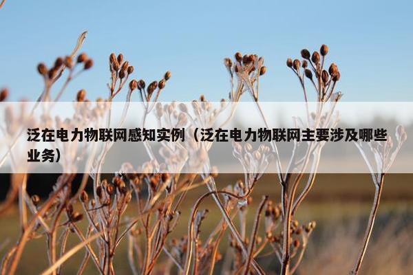 泛在电力物联网感知实例（泛在电力物联网主要涉及哪些业务）