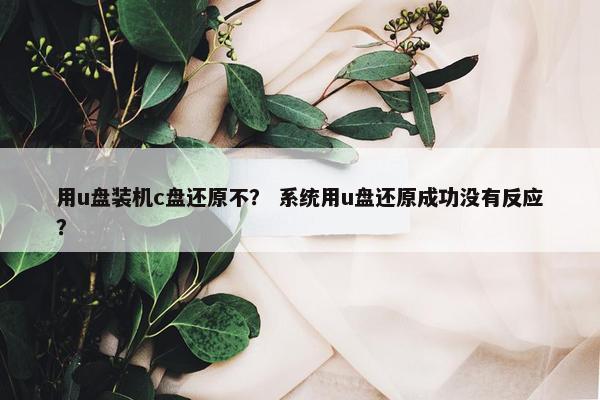 用u盘装机c盘还原不？ 系统用u盘还原成功没有反应？