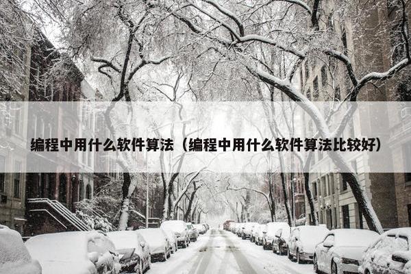 编程中用什么软件算法（编程中用什么软件算法比较好）
