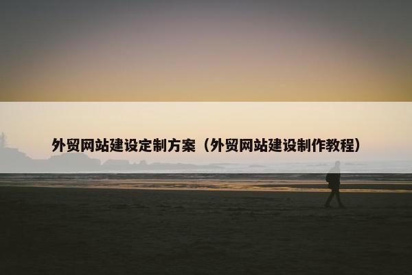 外贸网站建设定制方案（外贸网站建设制作教程）