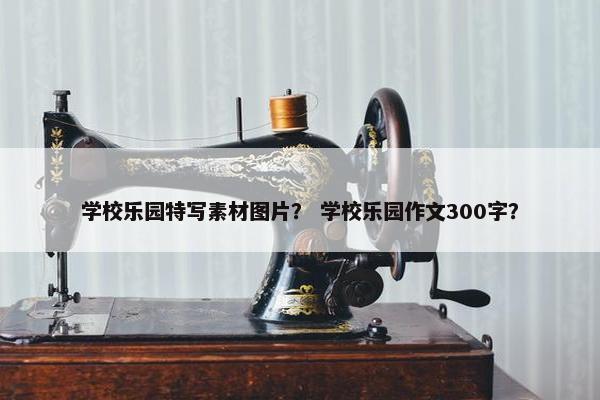 学校乐园特写素材图片？ 学校乐园作文300字？