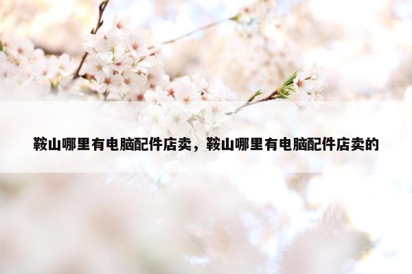 鞍山哪里有电脑配件店卖，鞍山哪里有电脑配件店卖的