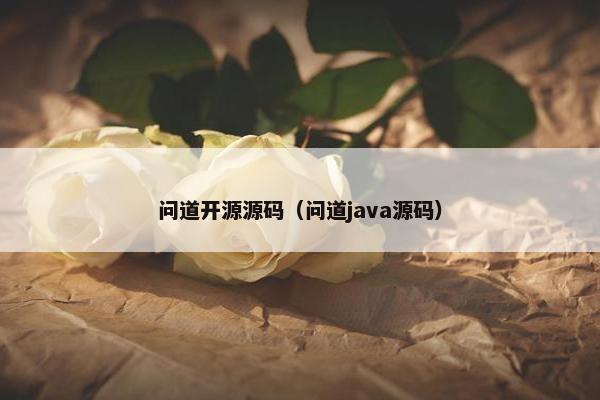 问道开源源码（问道java源码）