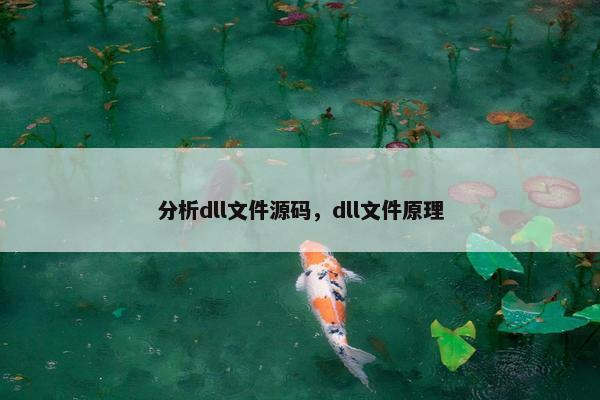 分析dll文件源码，dll文件原理