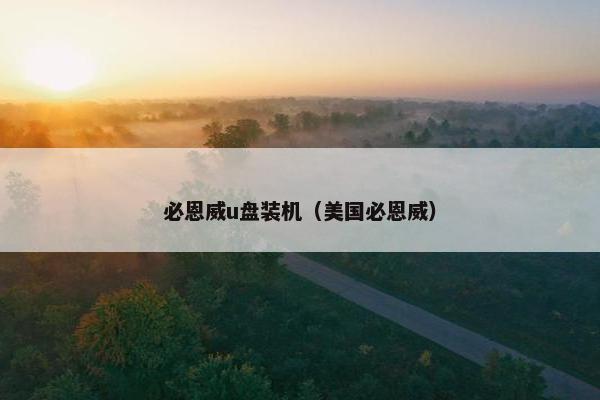 必恩威u盘装机（美国必恩威）