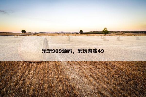 乐玩909源码，乐玩游戏49