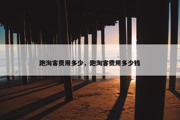 跑淘客费用多少，跑淘客费用多少钱