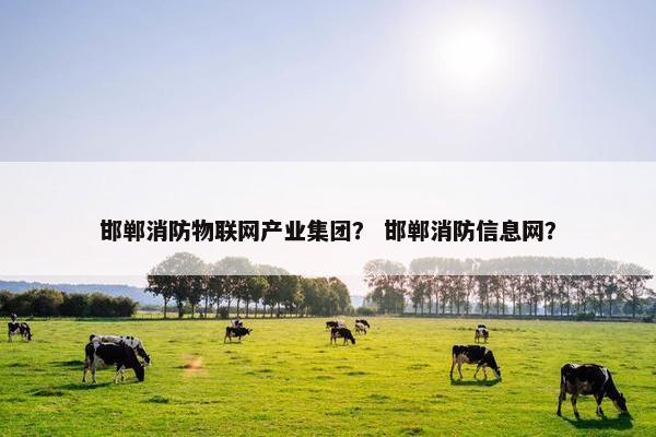 邯郸消防物联网产业集团？ 邯郸消防信息网？
