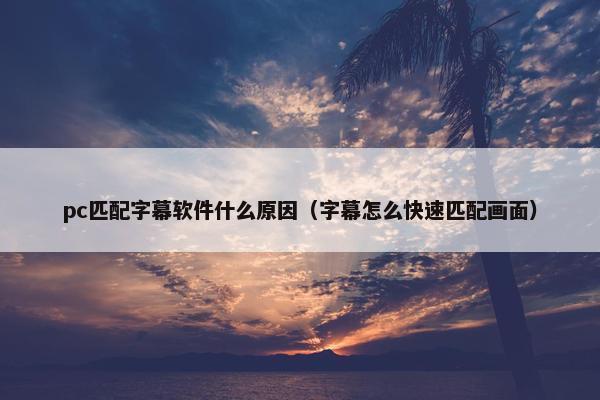 pc匹配字幕软件什么原因（字幕怎么快速匹配画面）