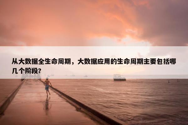 从大数据全生命周期，大数据应用的生命周期主要包括哪几个阶段?