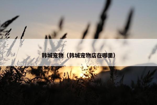 韩城宠物（韩城宠物店在哪里）