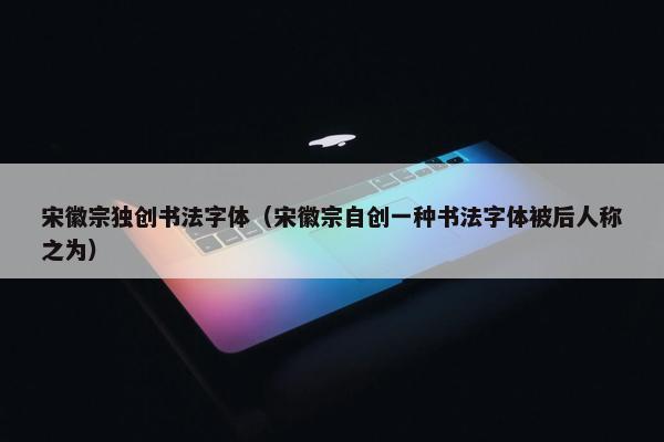 宋徽宗独创书法字体（宋徽宗自创一种书法字体被后人称之为）