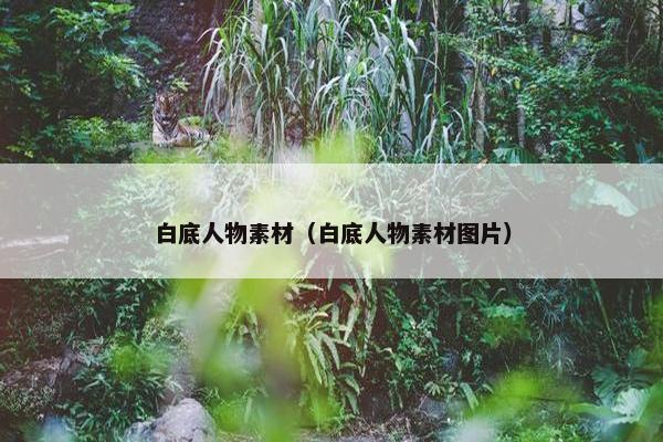 白底人物素材（白底人物素材图片）