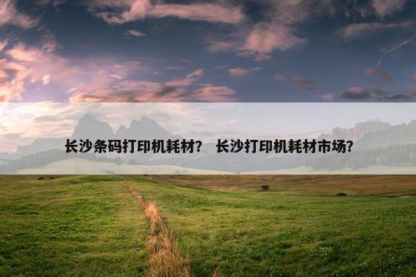 长沙条码打印机耗材？ 长沙打印机耗材市场？