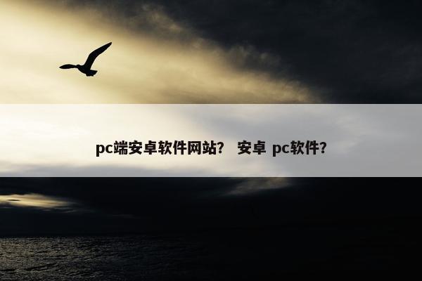 pc端安卓软件网站？ 安卓 pc软件？