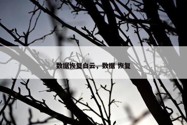 数据恢复白云，数据 恢复