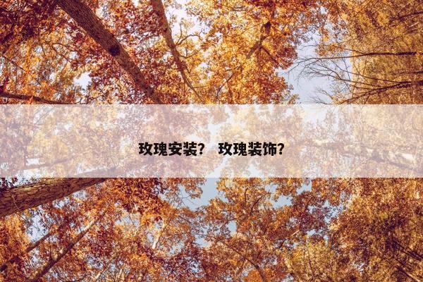 玫瑰安装？ 玫瑰装饰？