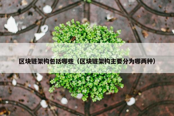 区块链架构包括哪些（区块链架构主要分为哪两种）