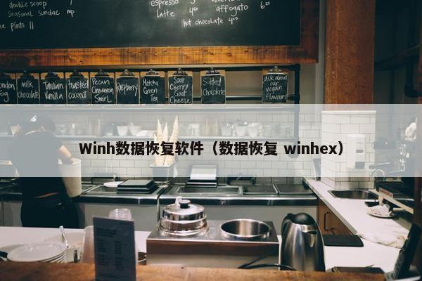 Winh数据恢复软件（数据恢复 winhex）