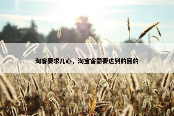 淘客要求几心，淘宝客需要达到的目的