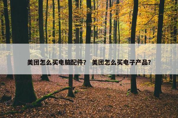 美团怎么买电脑配件？ 美团怎么买电子产品？