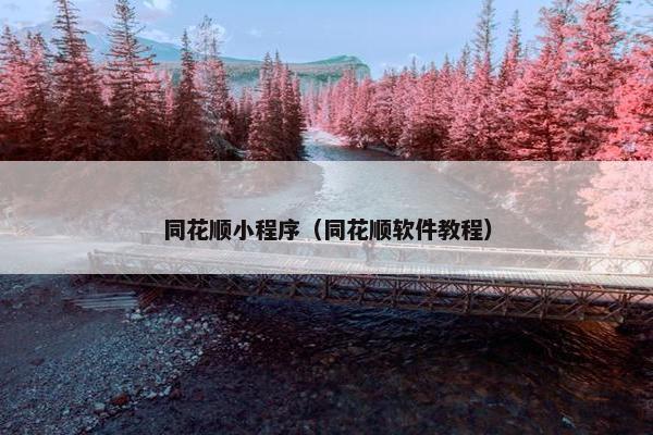 同花顺小程序（同花顺软件教程）