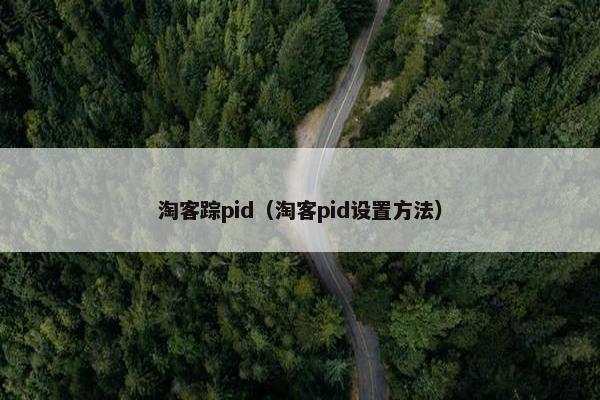 淘客踪pid（淘客pid设置方法）