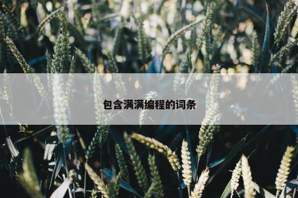 包含满满编程的词条