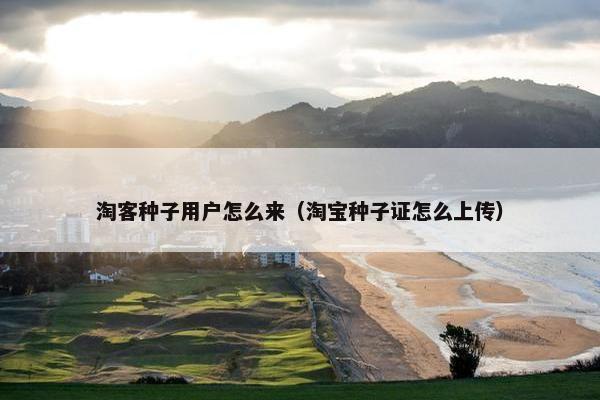淘客种子用户怎么来（淘宝种子证怎么上传）