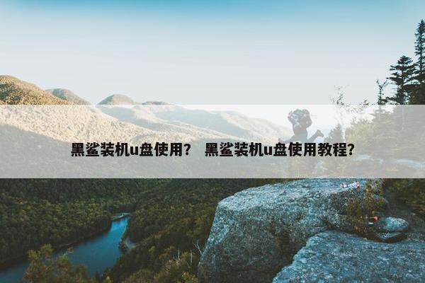 黑鲨装机u盘使用？ 黑鲨装机u盘使用教程？