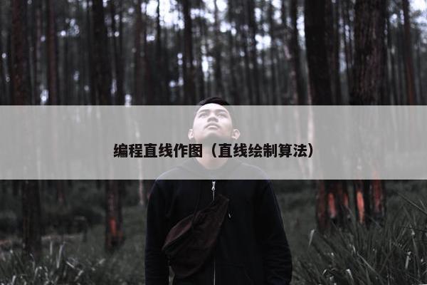 编程直线作图（直线绘制算法）