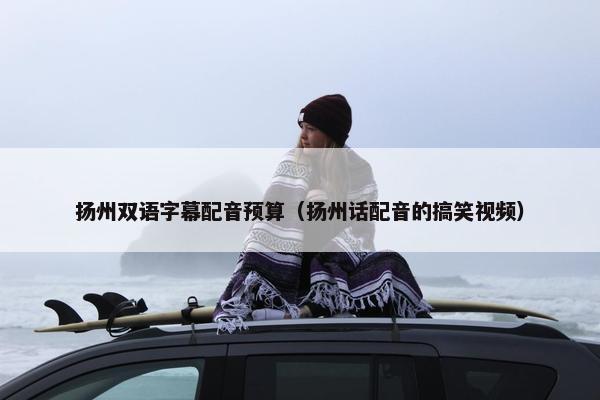 扬州双语字幕配音预算（扬州话配音的搞笑视频）