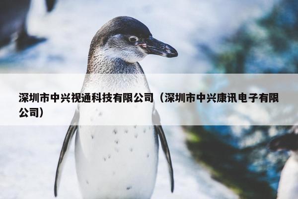 深圳市中兴视通科技有限公司（深圳市中兴康讯电子有限公司）