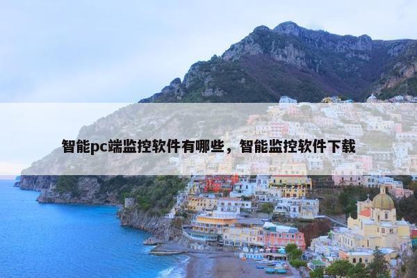 智能pc端监控软件有哪些，智能监控软件下载
