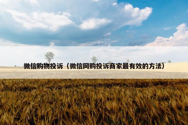 微信购物投诉（微信网购投诉商家最有效的方法）