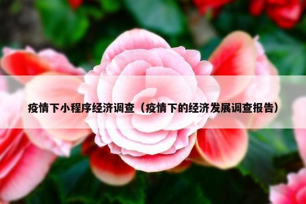 疫情下小程序经济调查（疫情下的经济发展调查报告）