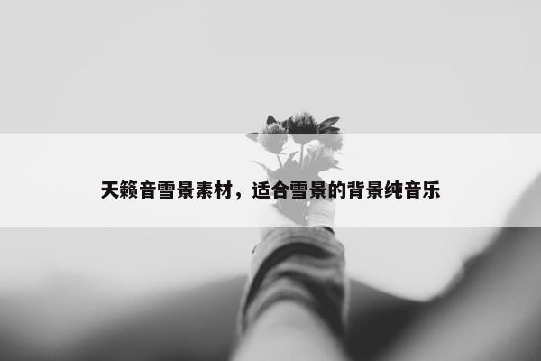 天籁音雪景素材，适合雪景的背景纯音乐