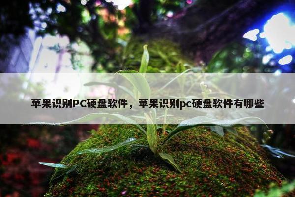 苹果识别PC硬盘软件，苹果识别pc硬盘软件有哪些