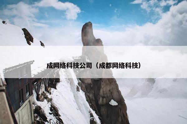 成网络科技公司（成都网络科技）