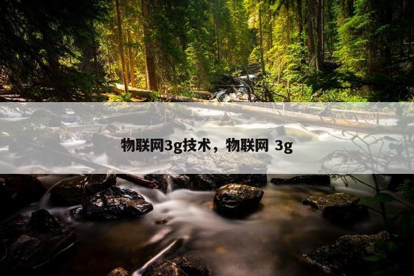物联网3g技术，物联网 3g